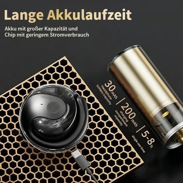 OmniLingua™ Earbuds - Die Zukunft des Verstehens & Hörens beginnt jetzt!