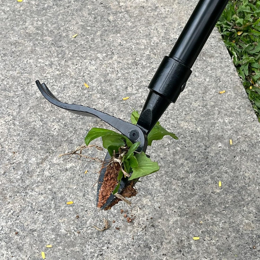 GartenHeld™ Onkrautstecher - Dein Rücken dankt es dir!