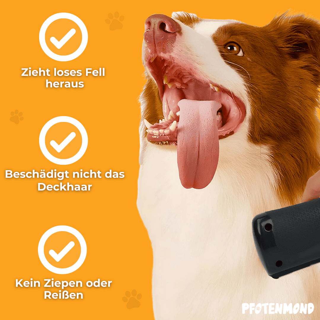 FurEase – Sanfte Fellpflege, einfaches Fellwechseln