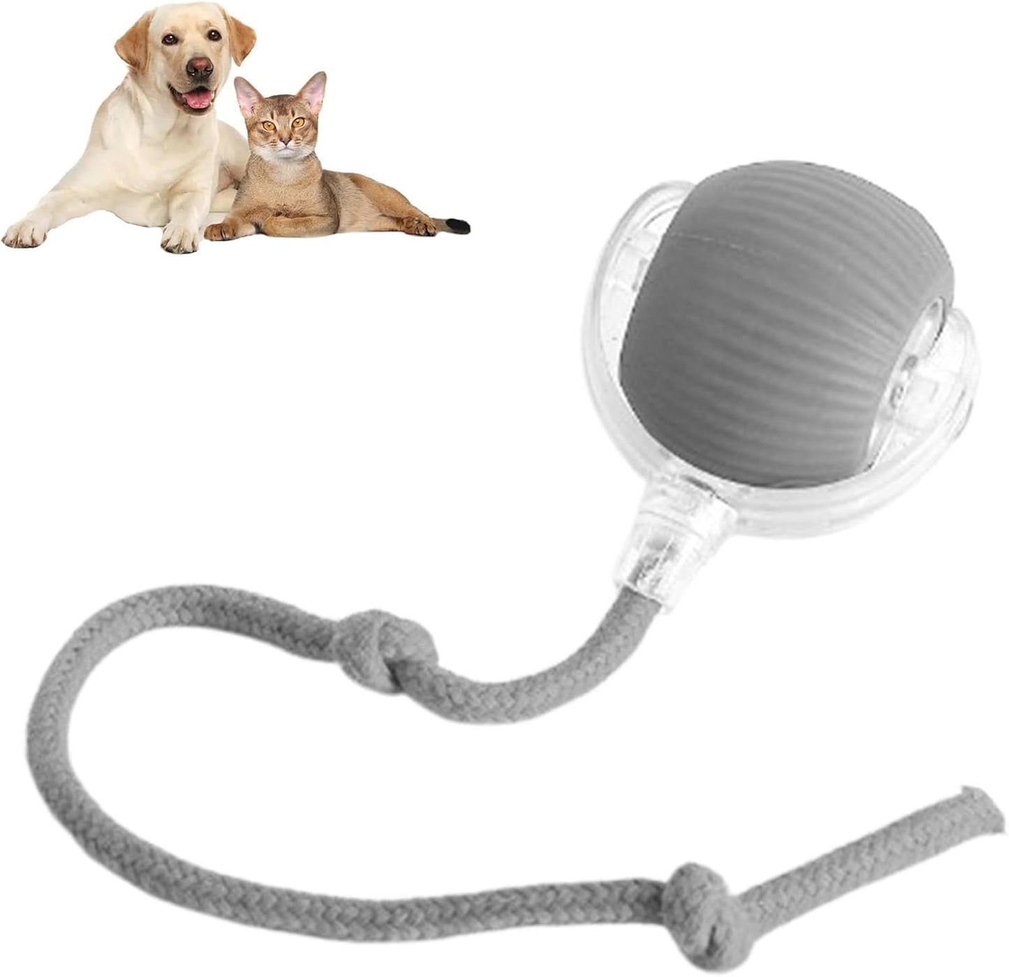 ComfyChase Buddy - Intelligenter Jagd-Spielball für Haustiere