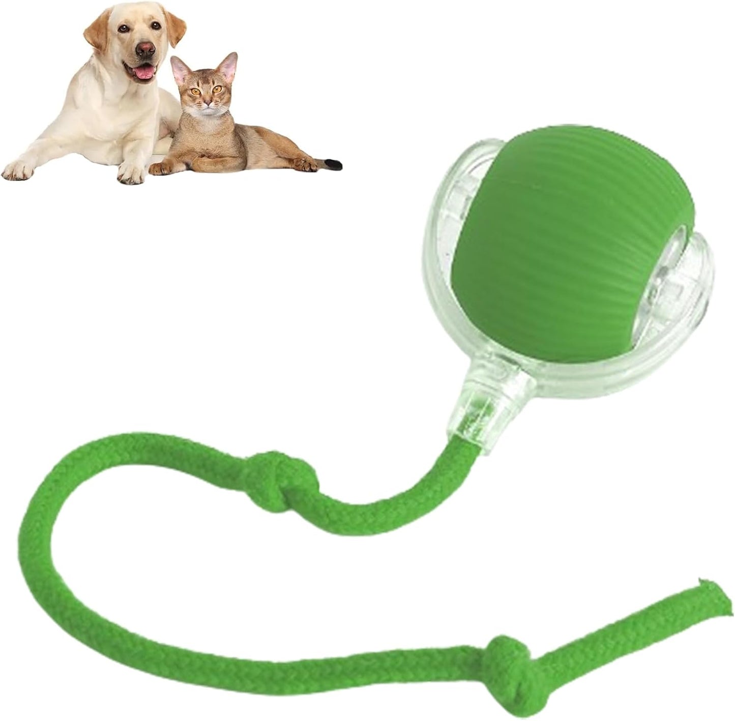 ComfyChase Buddy - Intelligenter Jagd-Spielball für Haustiere
