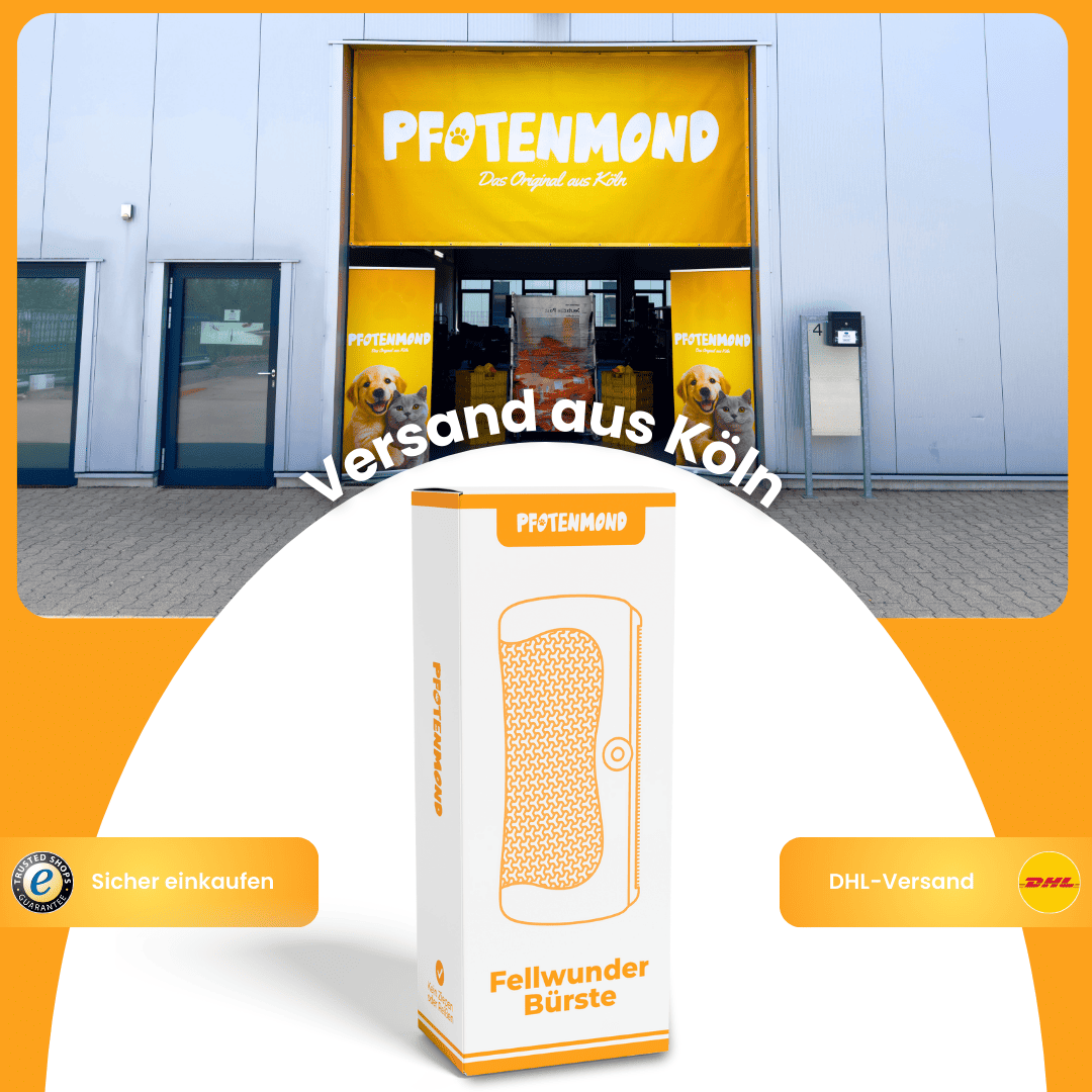 FurEase – Sanfte Fellpflege, einfaches Fellwechseln