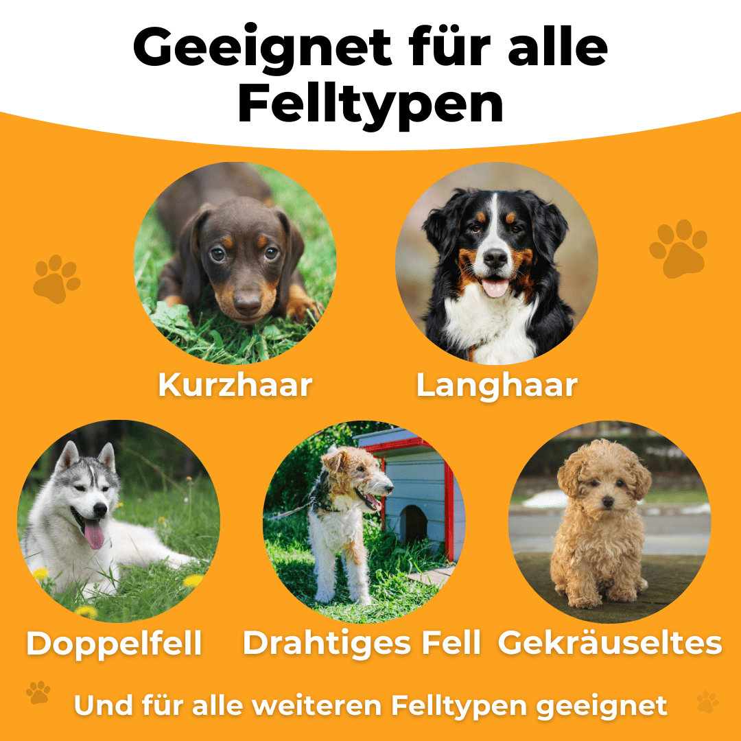 FurEase – Sanfte Fellpflege, einfaches Fellwechseln