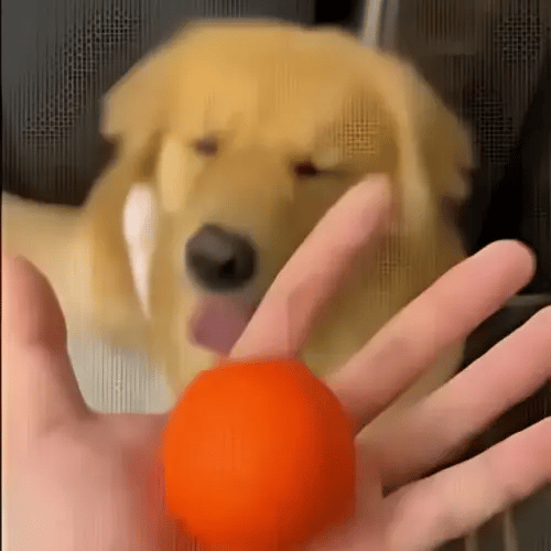 WiggleBall – Entfesseln Sie das Spiel, beenden Sie das Chaos.