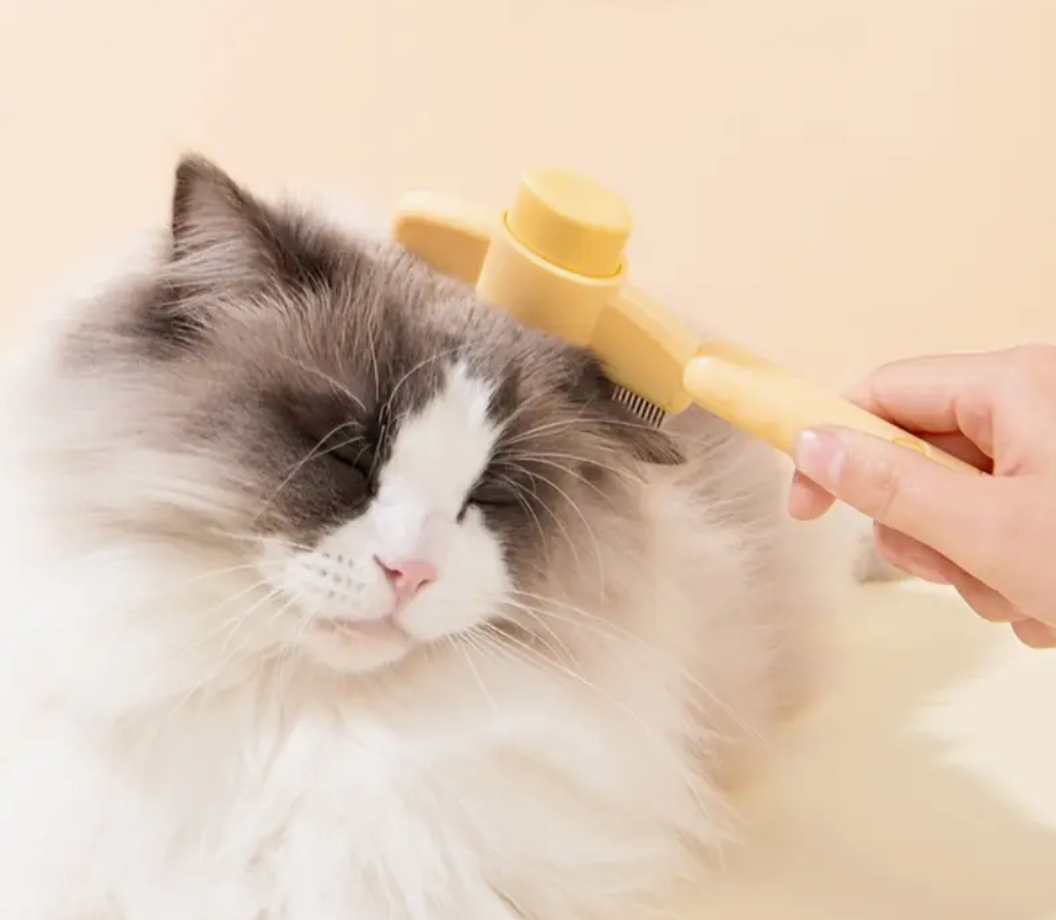Lush Fur Brush – Brillantes Fell, Reinigung mit einem Klick.