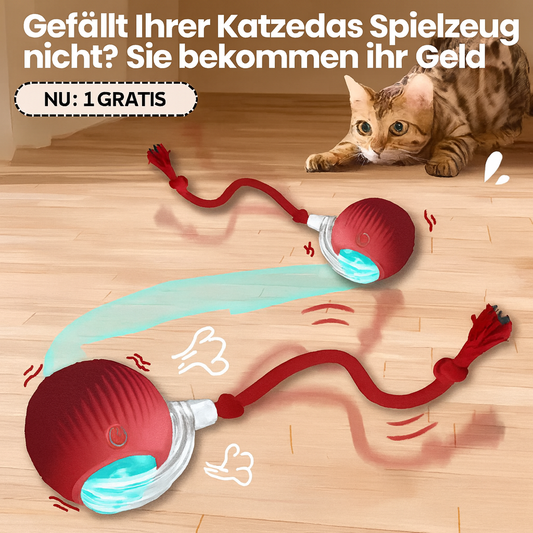 PawPilot – Entfesseln Sie die Jagd, beenden Sie die Langeweile.