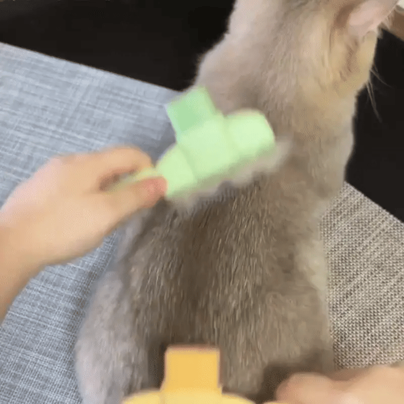 Lush Fur Brush – Brillantes Fell, Reinigung mit einem Klick.