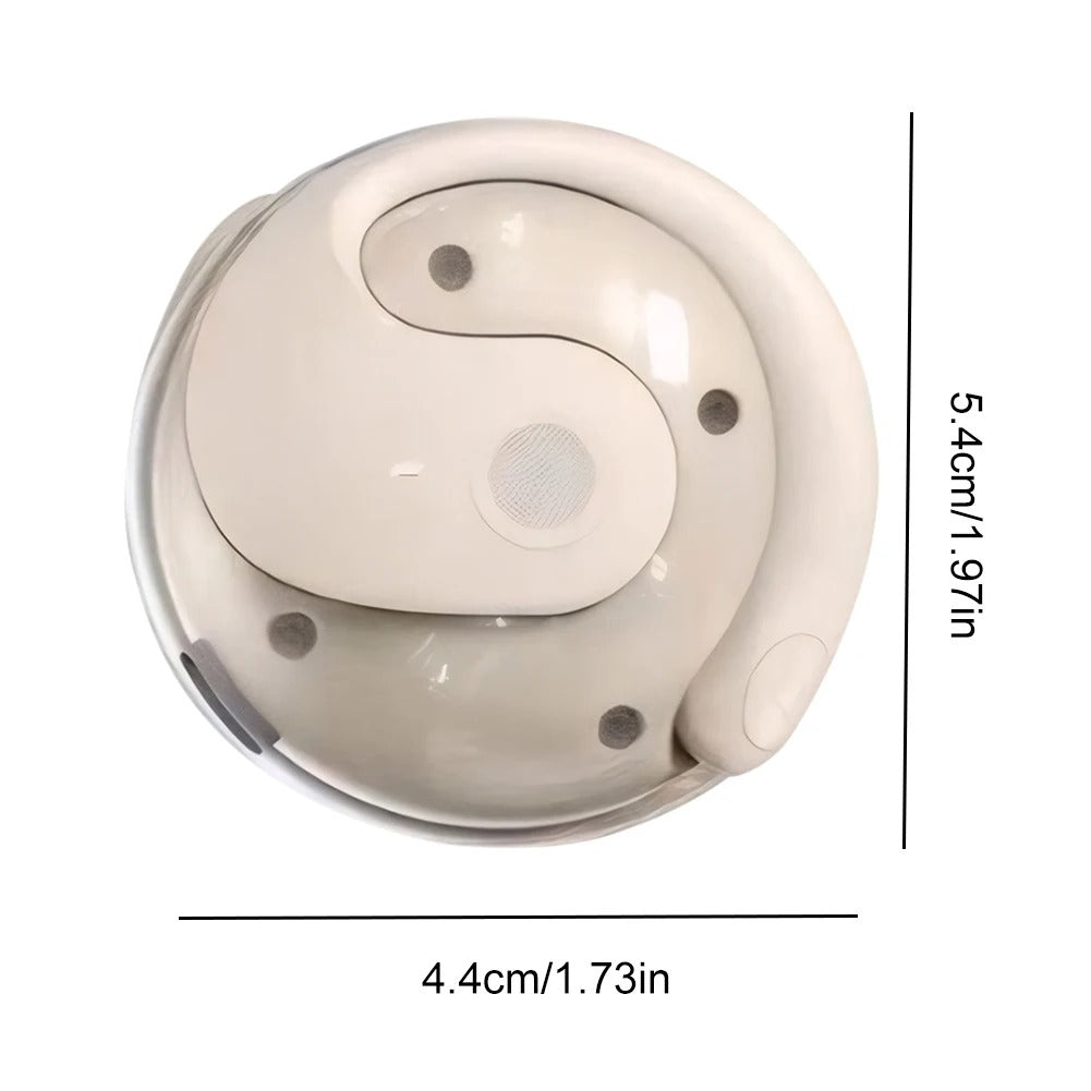 OmniLingua™ Earbuds - Die Zukunft des Verstehens & Hörens beginnt jetzt!
