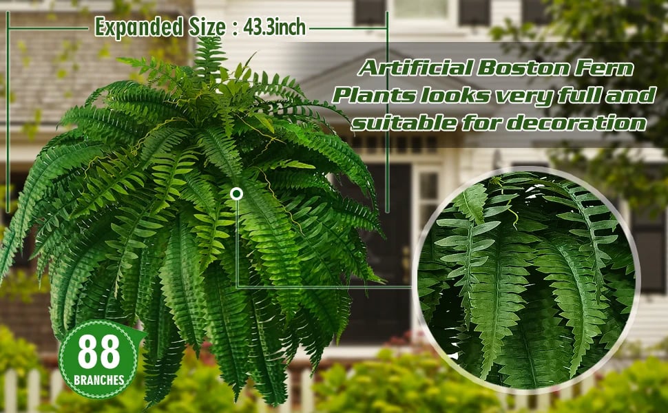 EverGreen™ Varen - Frische Schönheit ohne Sorge!