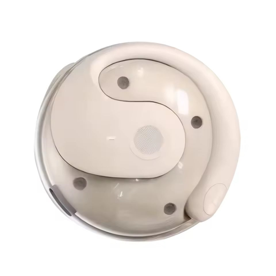 OmniLingua™ Earbuds - Die Zukunft des Verstehens & Hörens beginnt jetzt!