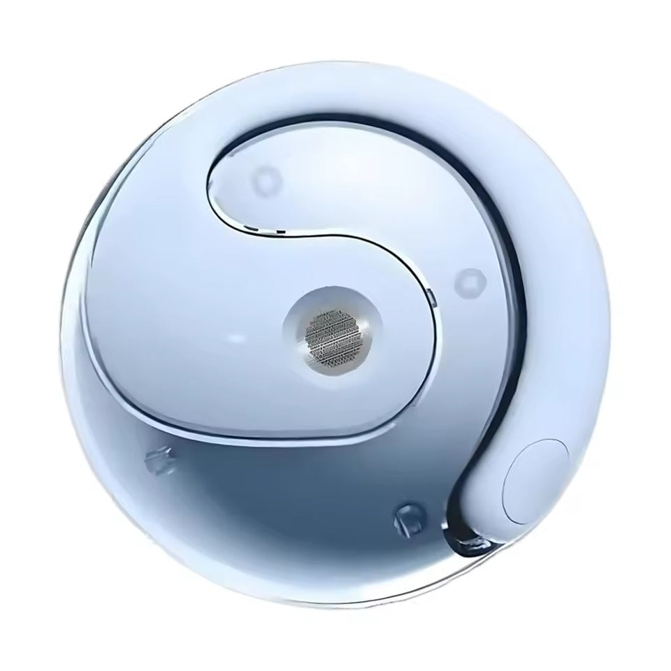 OmniLingua™ Earbuds - Die Zukunft des Verstehens & Hörens beginnt jetzt!