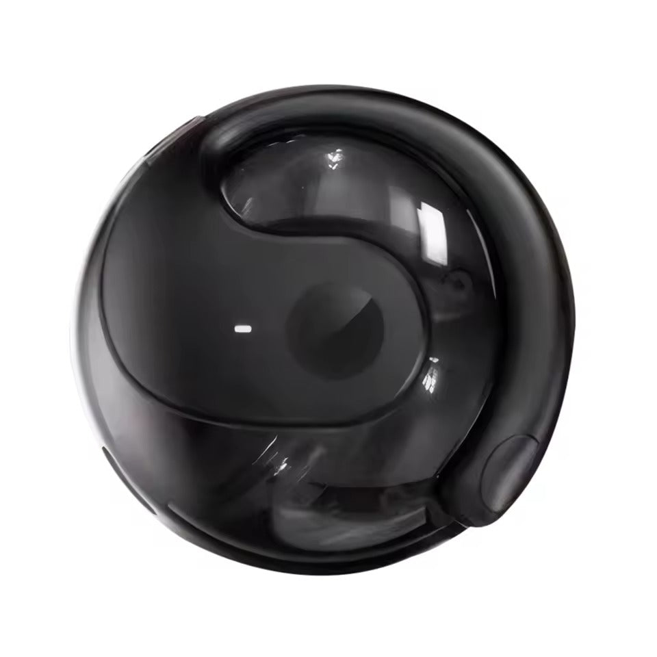 OmniLingua™ Earbuds - Die Zukunft des Verstehens & Hörens beginnt jetzt!