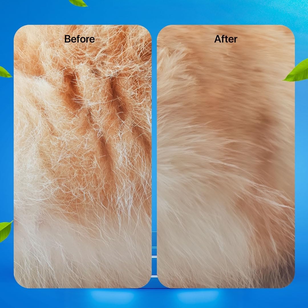 PawfectClean – Entdecken Sie ein perfekt sauberes Fell und einen Duft, der zum Wedeln einlädt.