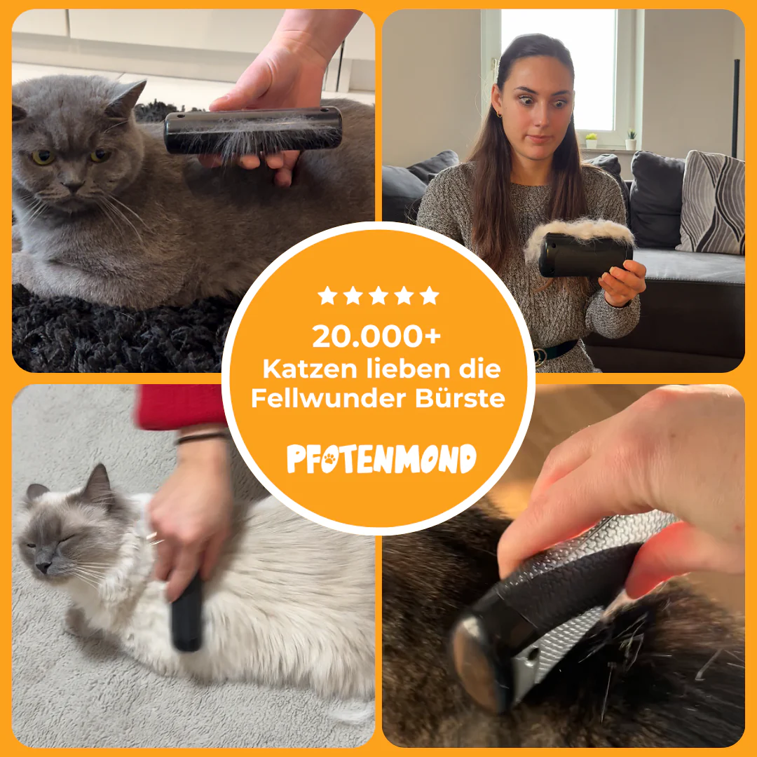 FurEase – Sanfte Fellpflege, einfaches Fellwechseln