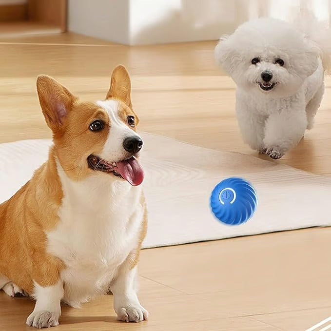 WiggleBall – Entfesseln Sie das Spiel, beenden Sie das Chaos.
