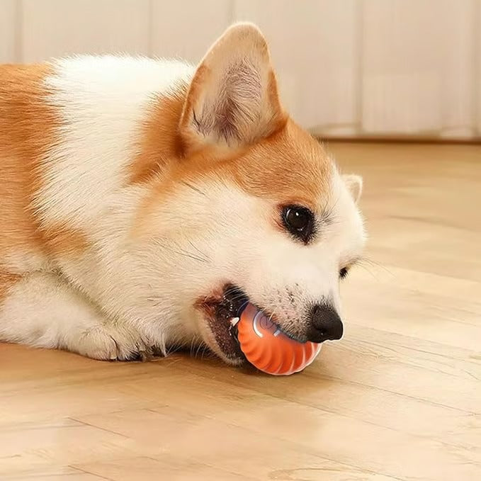 WiggleBall – Entfesseln Sie das Spiel, beenden Sie das Chaos.