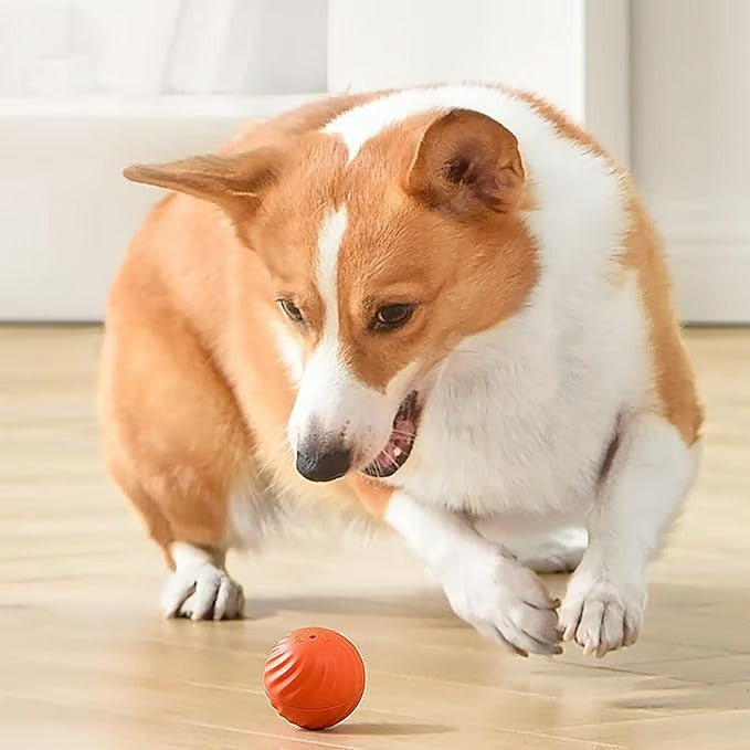 WiggleBall – Entfesseln Sie das Spiel, beenden Sie das Chaos.