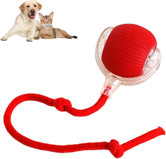 ComfyChase Buddy - Intelligenter Jagd-Spielball für Haustiere