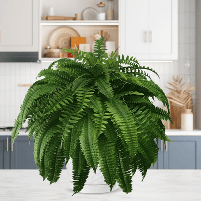 EverGreen™ Varen - Frische Schönheit ohne Sorge!