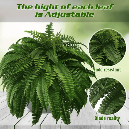 EverGreen™ Varen - Frische Schönheit ohne Sorge!