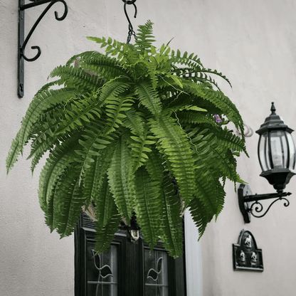 EverGreen™ Varen - Frische Schönheit ohne Sorge!