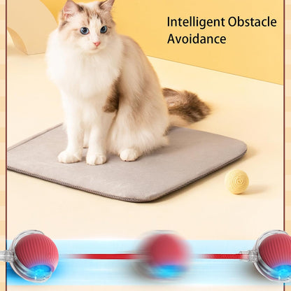 ComfyChase Buddy - Intelligenter Jagd-Spielball für Haustiere