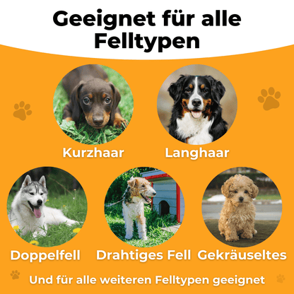 FurEase – Sanfte Fellpflege, einfaches Fellwechseln