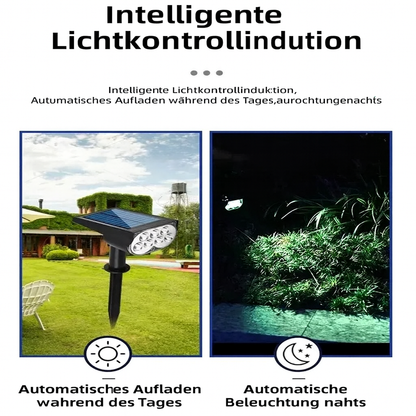 SunGlow Pro – Definieren Sie Ihre Landschaft, Tag und Nacht.