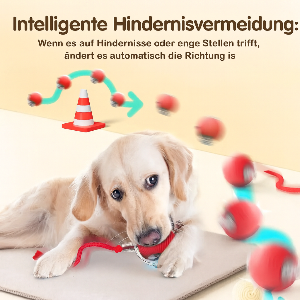 WiggleWisp – Wecken Sie ihre Neugier und beruhigen Sie das Chaos.