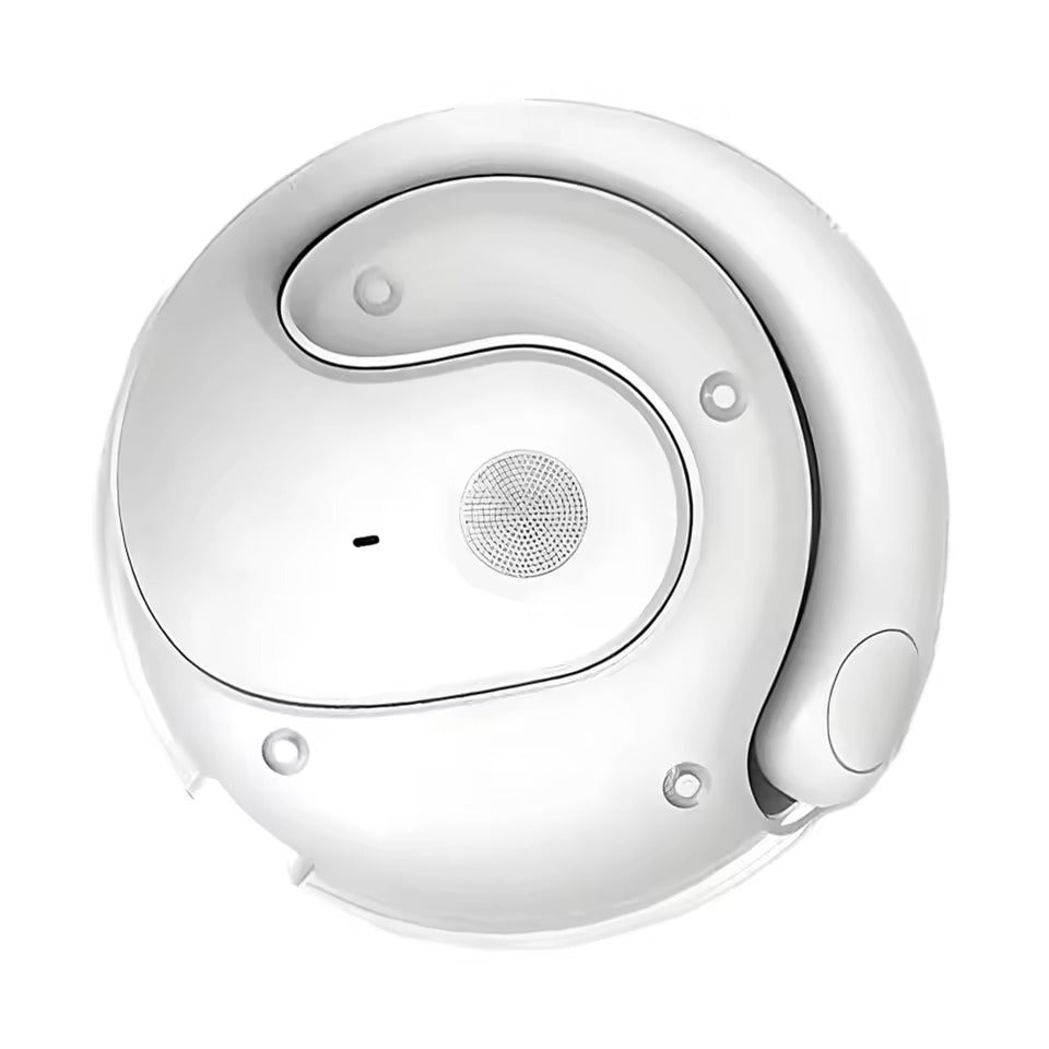 OmniLingua™ Earbuds - Die Zukunft des Verstehens & Hörens beginnt jetzt!